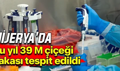 Nijerya'da bu yıl 39 M çiçeği vakası tespit edildi