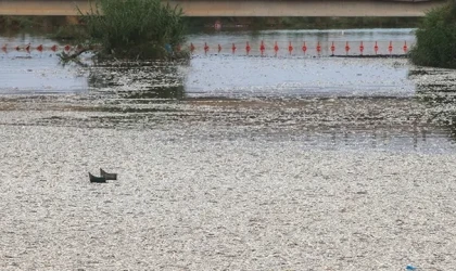 Volos'ta ölü balık nedeniyle OHAL