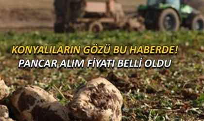 Konyalıların gözü bu haberde! Pancar alım fiyatı belli oldu