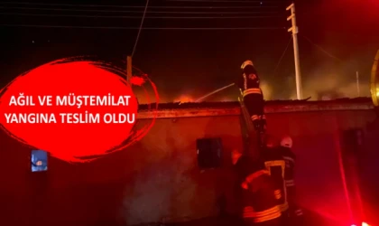 Ağıl ve müştemilat yangına teslim oldu