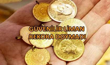 Güvenilir liman rekora doymadı