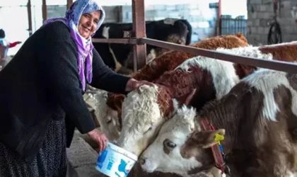 Türk Kızılayı'ndan depremzede ailelere destek