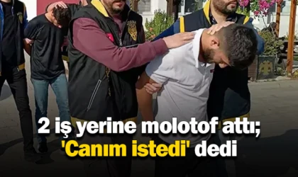 2 iş yerine molotof attı; 'Canım istedi' dedi