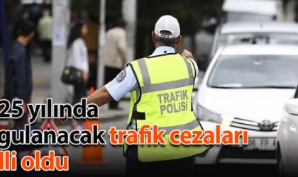 2025 yılında uygulanacak trafik cezaları belli oldu