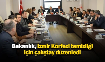 Bakanlık, İzmir Körfezi temizliği için çalıştay düzenledi