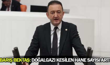 Barış Bektaş: Doğalgazı kesilen hane sayısı arttı