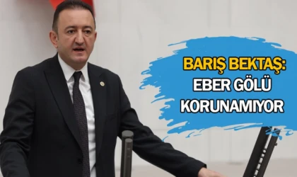 Barış Bektaş: Eber gölü korunamıyor