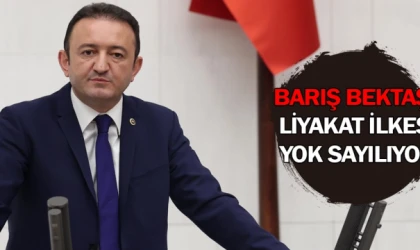 Barış Bektaş: Liyakat ilkesi yok sayılıyor