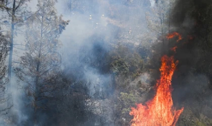 California'daki orman yangınında 132 yapı yok oldu