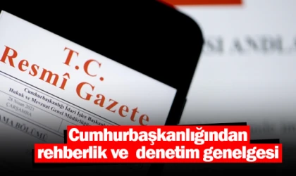 Cumhurbaşkanlığından rehberlik ve denetim genelgesi