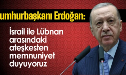 Erdoğan: İsrail ile Lübnan arasındaki ateşkesten memnuniyet duyuyoruz