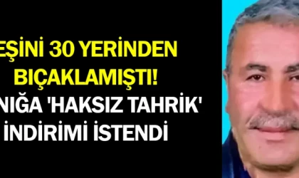 Eşini 30 yerinden bıçaklamıştı! Sanığa 'haksız tahrik' indirimi istendi