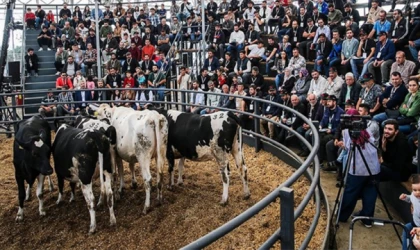 Genç ve kadın üreticilere yem desteği