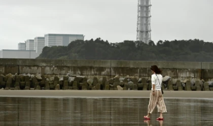 Japonya'da nükleer reaktör, arıza nedeniyle tekrar devre dışı