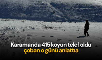 Karaman'da 415 koyun telef oldu, çoban o günü anlattı