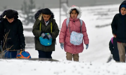 Kars, Ardahan, Ağrı ve Tunceli'de kar etkili oldu