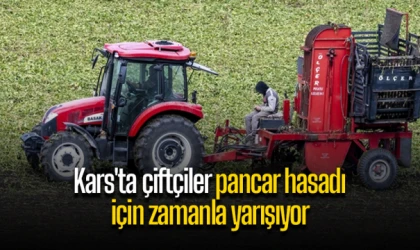 Kars'ta çiftçiler pancar hasadı için zamanla yarışıyor