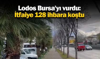 Lodos Bursa'yı vurdu: İtfaiye 128 ihbara koştu