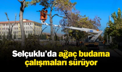 Selçuklu’da ağaç budama çalışmaları sürüyor