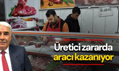 Üretici zararda aracı kazanıyor