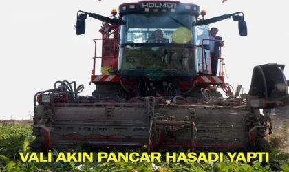 Vali Akın pancar hasadı yaptı