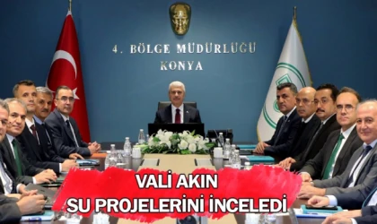 Vali Akın su projelerini inceledi