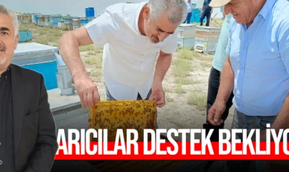 Arıcılar destek bekliyor