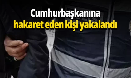 Cumhurbaşkanına hakaret eden kişi yakalandı