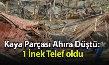 Kaya Parçası Ahıra Düştü: 1 İnek Telef oldu