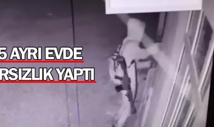 5 ayrı evde hırsızlık yaptı