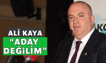 Ali Kaya, “Aday değilim"