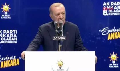 Cumhurbaşkanı Erdoğan: Yangın sorumlularından hesap sorulacak