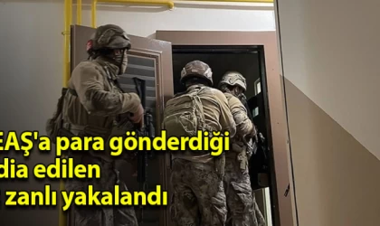 DEAŞ'a para gönderdiği iddia edilen 12 zanlı yakalandı