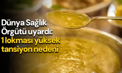 Dünya Sağlık Örgütü uyardı: 1 lokması yüksek tansiyon nedeni