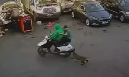 Köpekten kaçan motosikletli kamyonete çarptı