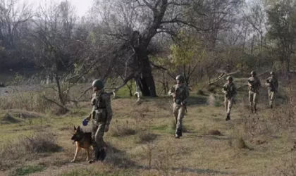 Yunanistan’a kaçarken yakalanan 2 FETÖ şüphelisi tutuklandı