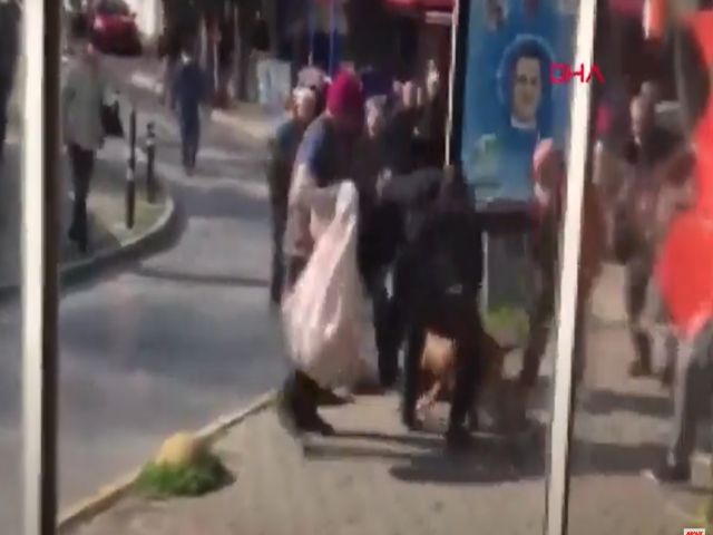 Beyoğlu'nda pitbull dehşeti