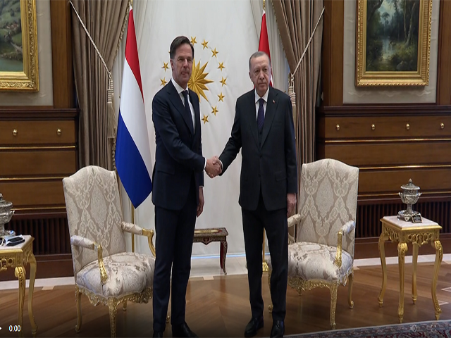 Cumhurbaşkanı Recep Tayyip Erdoğan, Hollanda Başbakanı Mark Rutte ile görüştü