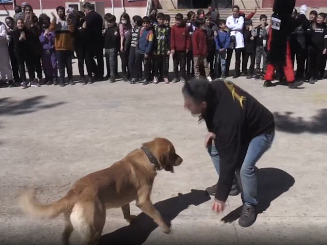 Öğrenciler eğitimli köpek "Fox" ile hem eğleniyor hem bilinçleniyor