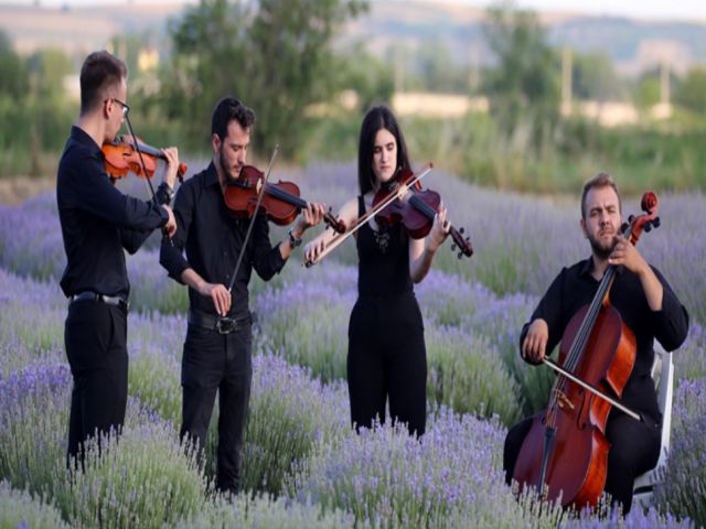 Edirne'nin "mor turizmi" Lavanta Tarla Günleri sembolik hasatla başladı