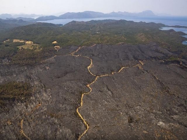 Marmaris'te yangınla mücadele havadan görüntülendi