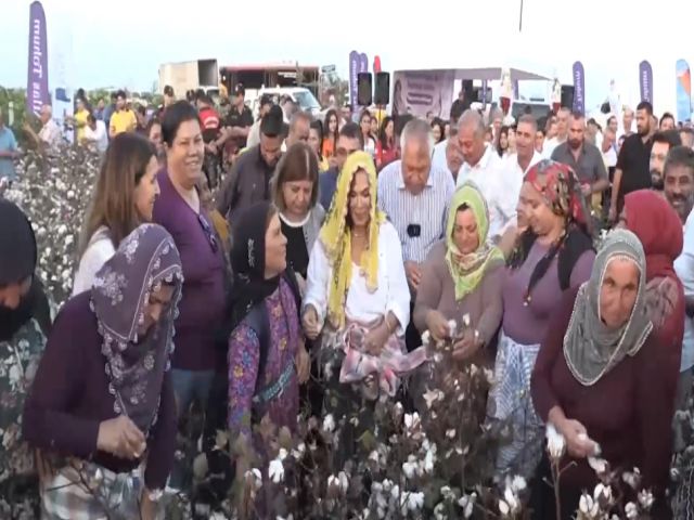 Türkan Şoray, adının verildiği pamuk çeşidinin hasadına katıldı