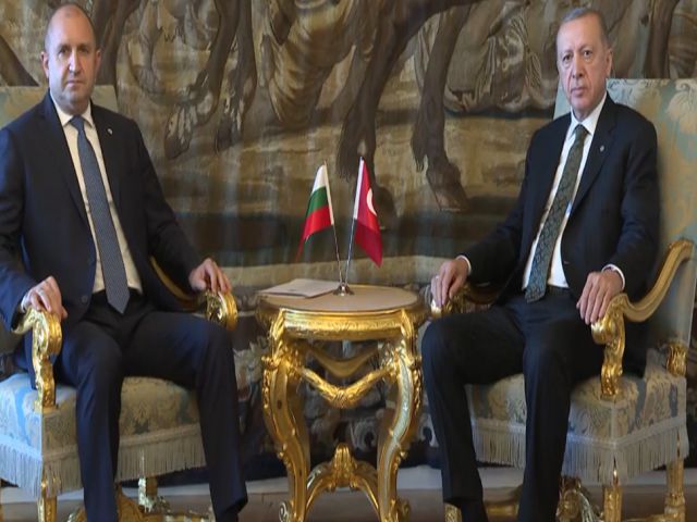 Cumhurbaşkanı Erdoğan, Prag'da Bulgaristan Cumhurbaşkanı Radev ile görüştü