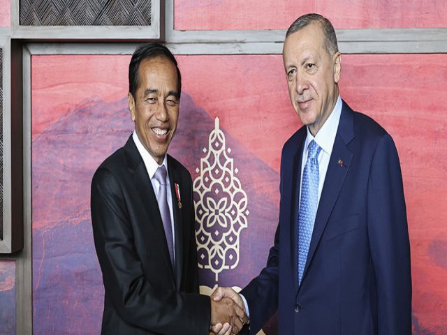 Cumhurbaşkanı Erdoğan, Endonezya Devlet Başkanı Widodo ile görüştü