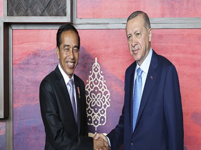 Cumhurbaşkanı Erdoğan, Endonezya Devlet Başkanı Widodo ile görüştü