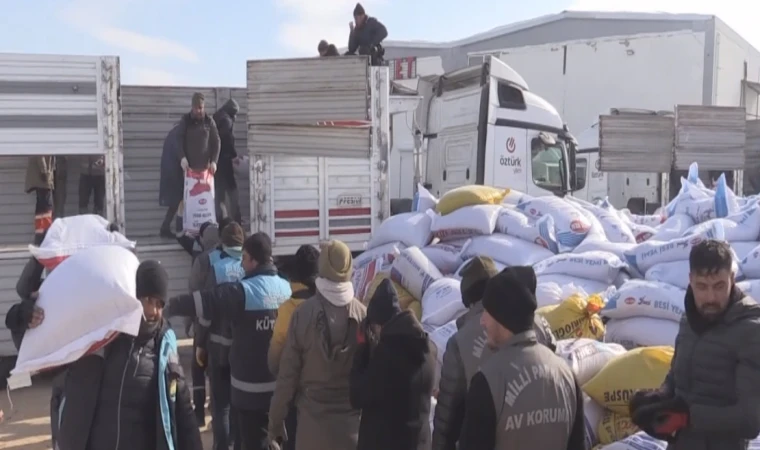 Depremden etkilenen Elbistan'da besicilere ücretsiz yem desteği