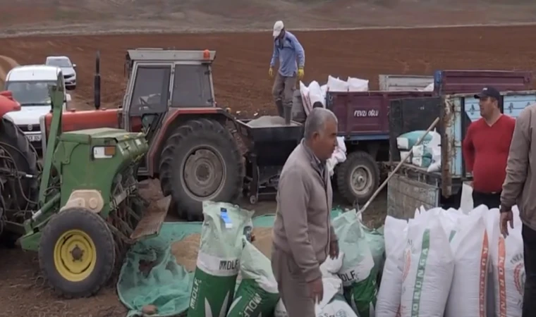 Ucuz yem üretimi için meralarda çalışmalar başladı