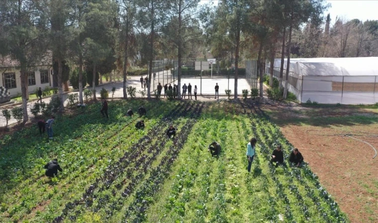 Şanlıurfa’da liselilere uygulamalı tarım eğitimi