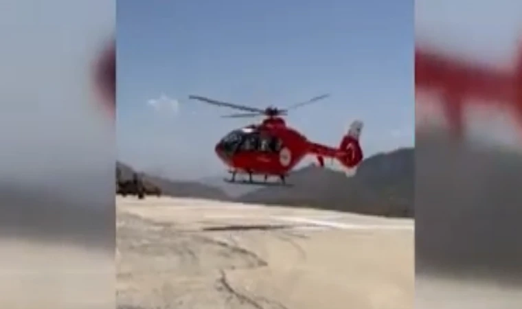 Hakkari'de yılanın ısırdığı kişi ambulans helikopterle hastaneye ulaştırıldı