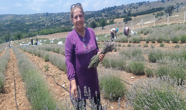 Gurbetçi kadın, terapi sayesinde tanıştığı lavantanın üreticisi oldu